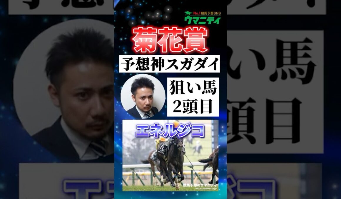 【菊花賞2025】予想神スガダイの注目馬②「エネルジコ」 #菊花賞 #競馬予想 #エネルジコ #shorts