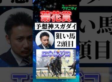 【菊花賞2025】予想神スガダイの注目馬②「エネルジコ」 #菊花賞 #競馬予想 #エネルジコ #shorts