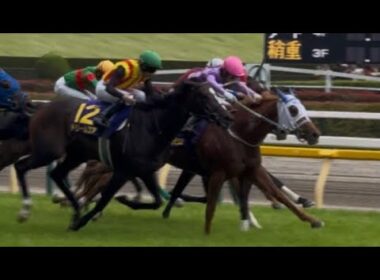［現地観戦］2026.5.24（日）東京11R 第87回優駿牝馬（オークス）G1