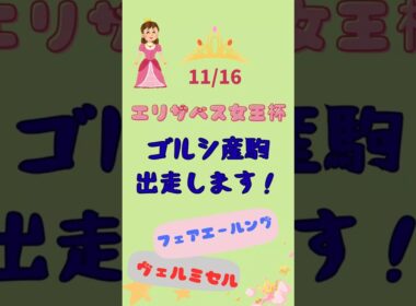【ゴルシ産駒】エリザベス女王杯【応援】#shorts #競馬 #ゴールドシップ #ゴールドシップ産駒 #ヴェルミセル #フェアエールング#エリザベス女王杯