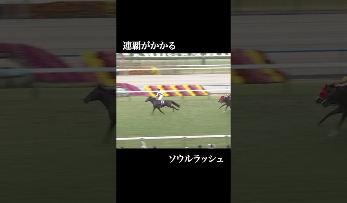 【予告】マイルチャンピオンシップ2025  #競馬  #g1 #レーベンスティール #ガイアフォース #ソウルラッシュ #アスコリピチェーノ #ジャンタルマンタル