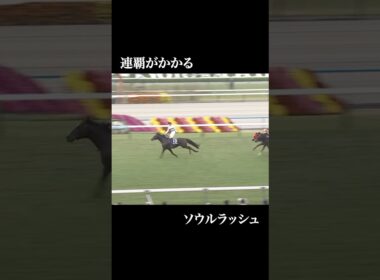 【予告】マイルチャンピオンシップ2025  #競馬  #g1 #レーベンスティール #ガイアフォース #ソウルラッシュ #アスコリピチェーノ #ジャンタルマンタル