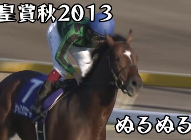ジャスタウェイ 天皇賞秋 2013 ぬるぬる化で見よう conv to 60fps