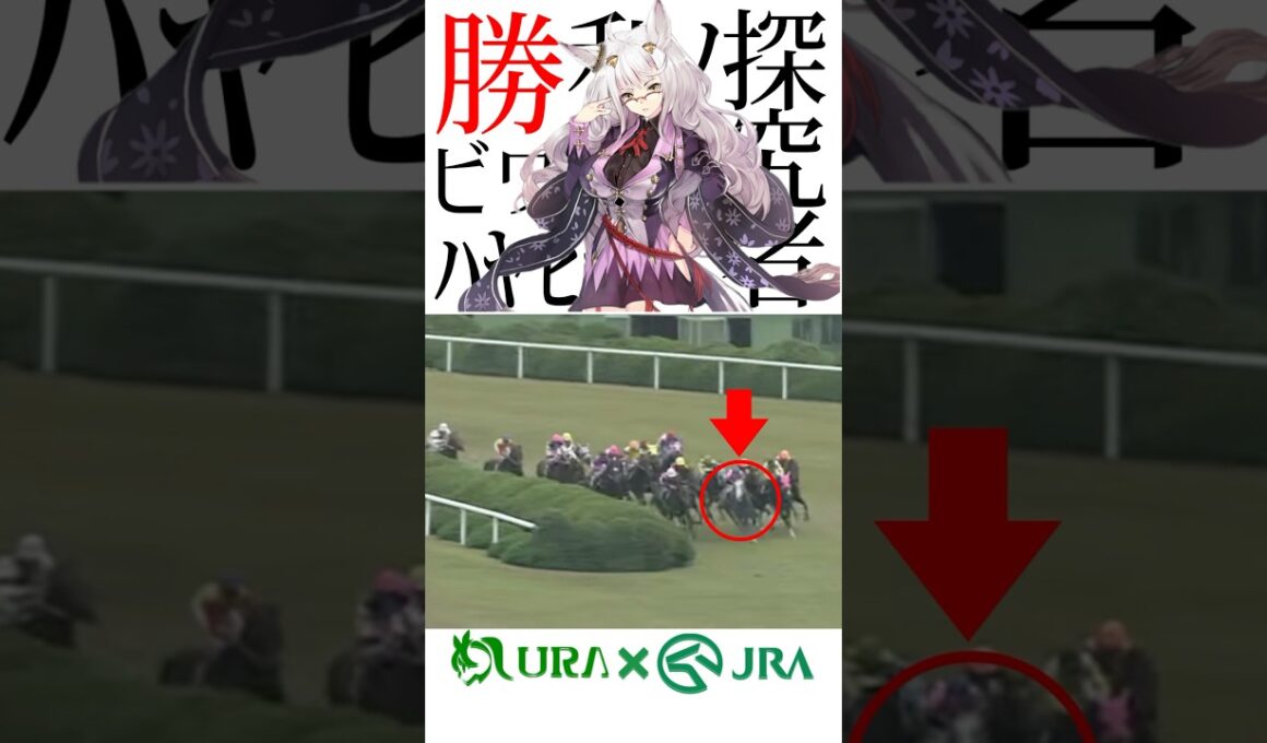 【目が覚める様な末脚】 #ビワハヤヒデ #ウイニングチケット #菊花賞 #競馬 #ウマ娘 #シンデレラグレイ