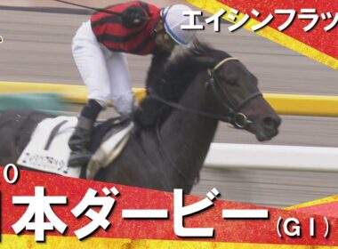 【“史上最高レベル”のライバルたちを撃破】2010年日本ダービー (ＧⅠ) エイシンフラッシュ【カンテレ公式】