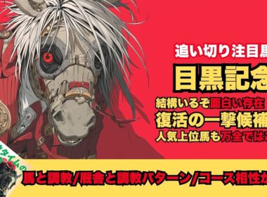【目黒記念2026/調教が光った厩舎と馬】ミラージュナイトの調教と成長/復活へボーンディスウェイ、マイネルケレリウス/ダノンシーマとウィクトルウェルスが大崩れする気がしないが【追い切り】