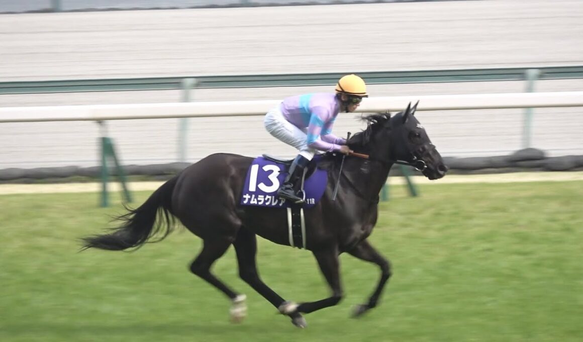 【現地 本馬場入場】2026 G1 高松宮記念 【中京競馬場 ナムラクレア】