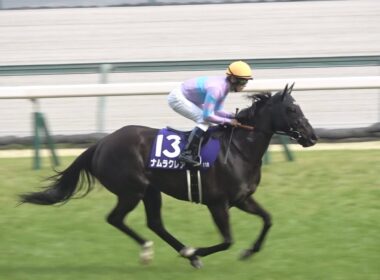 【現地 本馬場入場】2026 G1 高松宮記念 【中京競馬場 ナムラクレア】