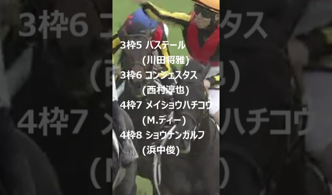 【速報！日本ダービー枠順確定】ロブチェンは8枠17番 #日本ダービー #東京優駿