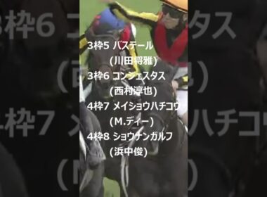 【速報！日本ダービー枠順確定】ロブチェンは8枠17番 #日本ダービー #東京優駿