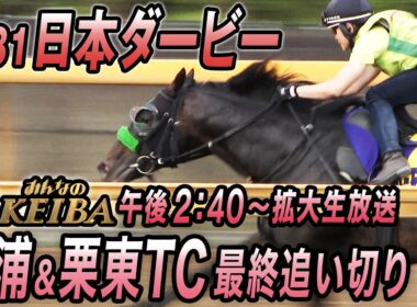 【2026年日本ダービー・最終追い切り】３歳馬7944頭の頂点へ！　みんなのKEIBA　5月31日　午後2時40分拡大放送