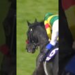 #shorts [怪物が障害G13連勝] 2026 #中山グランドジャンプ #エコロデュエル #草野太郎
