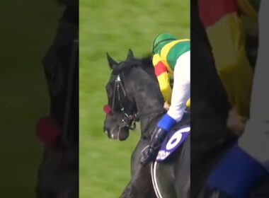 #shorts [怪物が障害G13連勝] 2026 #中山グランドジャンプ #エコロデュエル #草野太郎