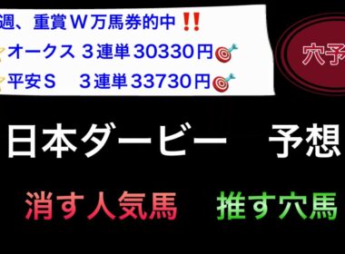 【競馬予想】　日本ダービー　予想　2026
