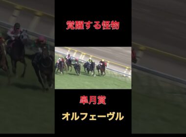 覚醒する怪物オルフェーヴル【皐月賞】#競馬#予想#馬券