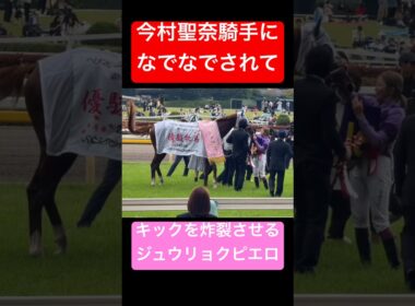【今村聖奈騎手 & ジュウリョクピエロ】 今村聖奈騎手に顔をなでなでされてピエちゃんが父親仕込みのキックを炸裂！ #オークス #今村聖奈 #ジュウリョクピエロ #競馬 #shorts
