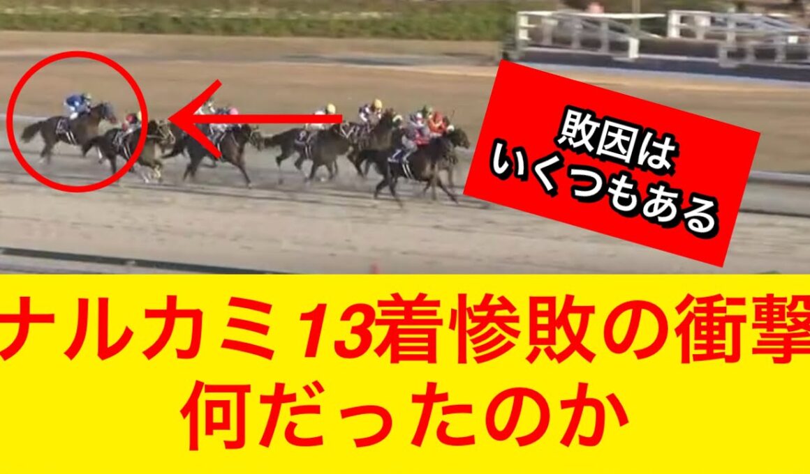 【チャンピオンズカップ2025】ナルカミ(1人気)が直線見せ場なく13着惨敗…敗因は何だったのか？【競馬の反応集】