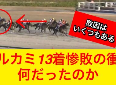 【チャンピオンズカップ2025】ナルカミ(1人気)が直線見せ場なく13着惨敗…敗因は何だったのか？【競馬の反応集】