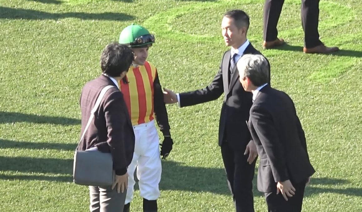 【現地 パドック各陣営の様子】2026 G1 フェブラリーステークス 【東京競馬場】