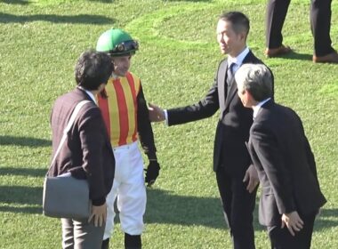 【現地 パドック各陣営の様子】2026 G1 フェブラリーステークス 【東京競馬場】