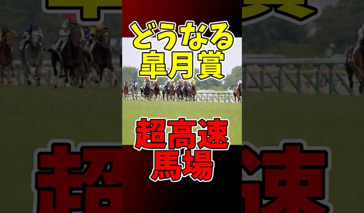 【競馬】どうなる皐月賞！中山競馬場が超高速馬場に #競馬 #中山競馬場 #高速馬場 #皐月賞 #芝レース #タイム更新 #JRA #競馬ニュース #馬場状態 #レコード #競馬予想 #Cコース