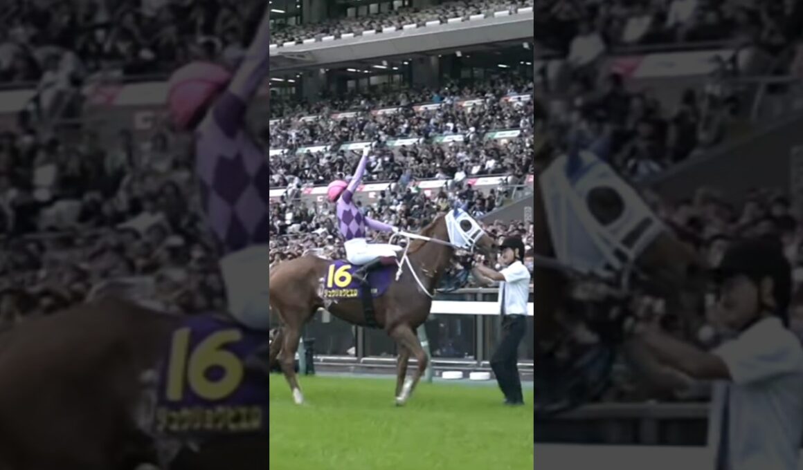 #shorts [歴史的快挙 最高のコンビで女王君臨] 2026 #オークス #優駿牝馬 #ジュウリョクピエロ #今村聖奈