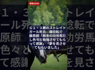 5.29 Ｇ１・３勝のストレイトガール死去　腸捻転で　藤原師「厩舎の功労馬だし色々と勉強させてもらって感謝」「夢を見させてもらいました」｜競馬NEWS #Shorts