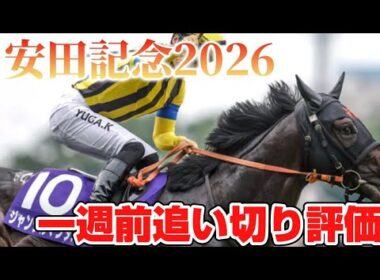 安田記念2026 一週前追い切り評価