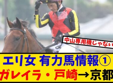 【エリザベス女王杯】「有力馬情報① レガレイラ・戸崎→京都… 」に対するみんなの反応【反応集】