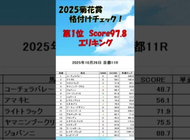 2025菊花賞 格付けチェック！