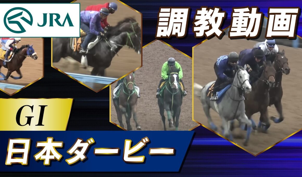 【調教動画】2026年 日本ダービー｜JRA公式