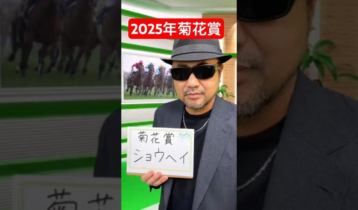 2025年菊花賞◎ズバリ1頭予想発表#京都競馬 #競馬 #菊花賞