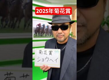 2025年菊花賞◎ズバリ1頭予想発表#京都競馬 #競馬 #菊花賞