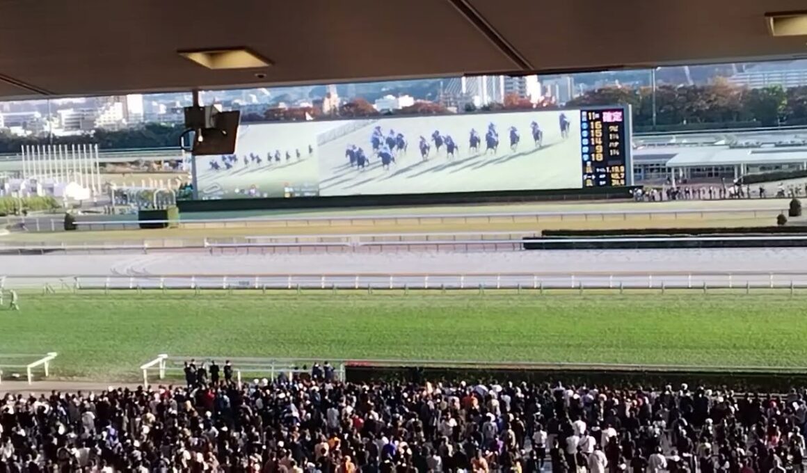 【エリザベス女王杯(G1)2025】現地映像💓『レガレイラ最後の直線こちら東京競馬場でも大熱狂ぶり』👍️