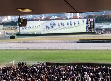 【エリザベス女王杯(G1)2025】現地映像💓『レガレイラ最後の直線こちら東京競馬場でも大熱狂ぶり』👍️