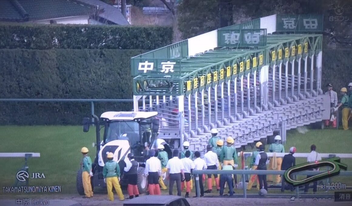 2026 第56回高松宮記念(G1)【連覇へサトノレーヴVSラストラン・ナムラクレア】