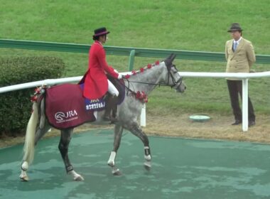 【阪神ジュベナイルフィリーズ2025】 アルバンヌがゲートへ向かうのを拒否‼と本馬場入場 現地映像 スターアニス