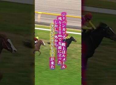 【ウオッカ物語④完結】天皇賞秋に続きジャパンカップも2センチ　「一番強かった馬はウオッカ」角居の言葉