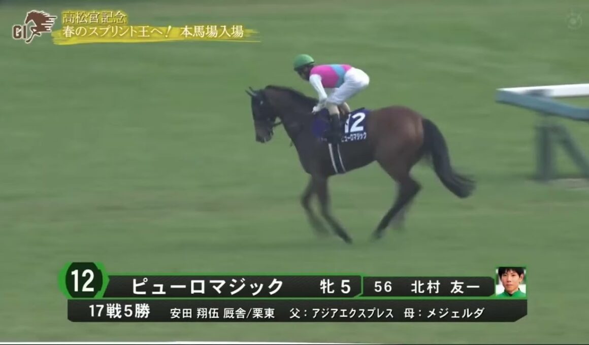 高松宮記念G1 本馬場入場