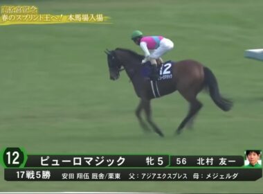 高松宮記念G1 本馬場入場