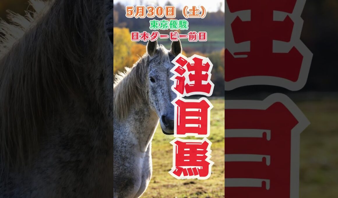 g1東京優駿日本ダービー前日　中央競馬予想　5月30日　注目馬#shorts