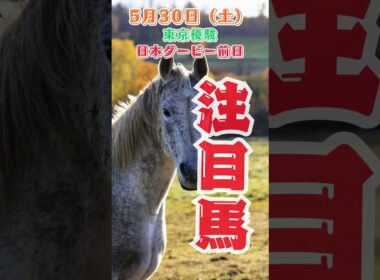 g1東京優駿日本ダービー前日　中央競馬予想　5月30日　注目馬#shorts