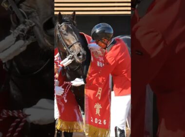 皐月賞を勝ってたくましくなったロブチェン。　三冠への権利を得て次はいよいよ３歳世代No1を目指す日本ダービー。#競馬　#ロブチェン　#皐月賞　#日本ダービー