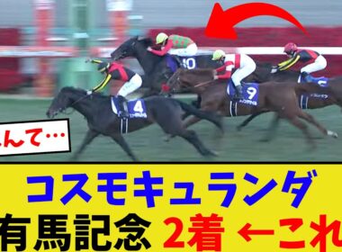 コスモキュランダ、有馬記念2着…【競馬反応集】