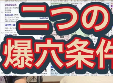【ホープフルSと阪神Cの競馬予想】昨年14万円を的中させた方法