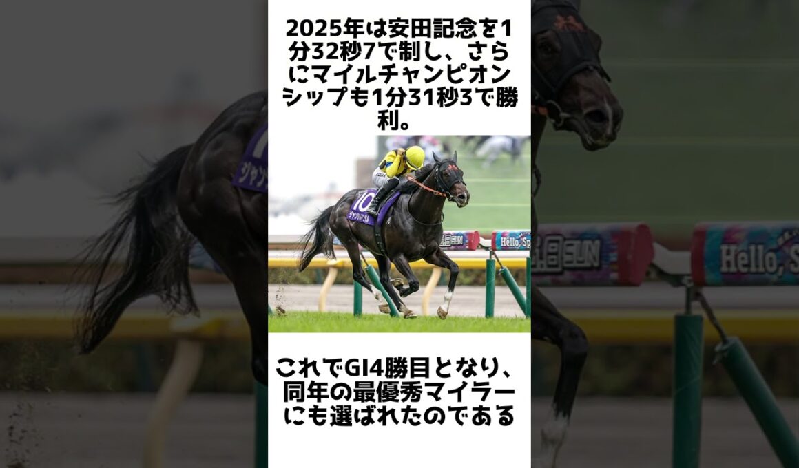 芝マイルGI完全制覇！ジャンタルマンタルの雑学5選 #競馬 #shorts #1分雑学 #ジャンタルマンタル #馬