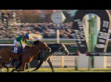 ［現地観戦］2025.11.30（日） 東京12R 第45回ジャパンカップ（G1）
