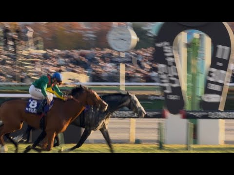［現地観戦］2025.11.30（日） 東京12R 第45回ジャパンカップ（G1）