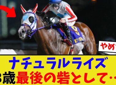 ナチュラルライズ「ナルカミ…ルクソール…」【競馬反応集】