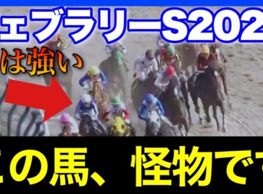 フェブラリーSに1頭、怪獣レベルの舐められ馬がいます🏇🔥【フェブラリーS＆ダイヤモンドS＆阪急杯 2026】
